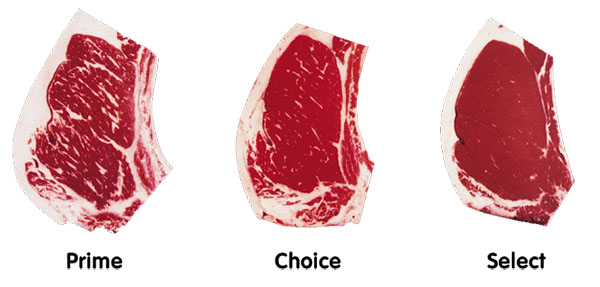 Các thuật ngữ chấm điểm chất lượng thịt bò
