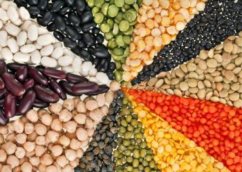 Những thực phẩm cho các mẹ bầu sau sinh