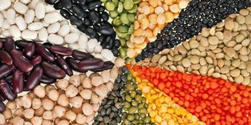 Những thực phẩm cho các mẹ bầu sau sinh