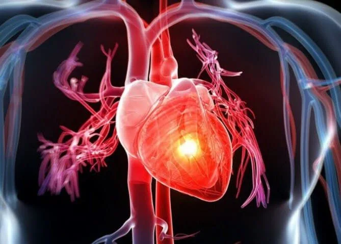 Bài viết giải thích tim nằm bên nào