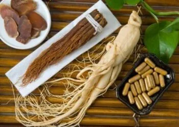 Bạn đã phân biệt được Sâm Canada và Sâm Hàn Quốc chưa?