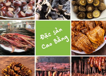 CB Green- Chuyên cung cấp đặc sản Cao Bằng nguyên chất- sạch-rẻ