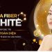 Mega Fiber White – Phương pháp trị nám tiên tiến, đem lại kết quả rõ rệt sau 1 liệu trình